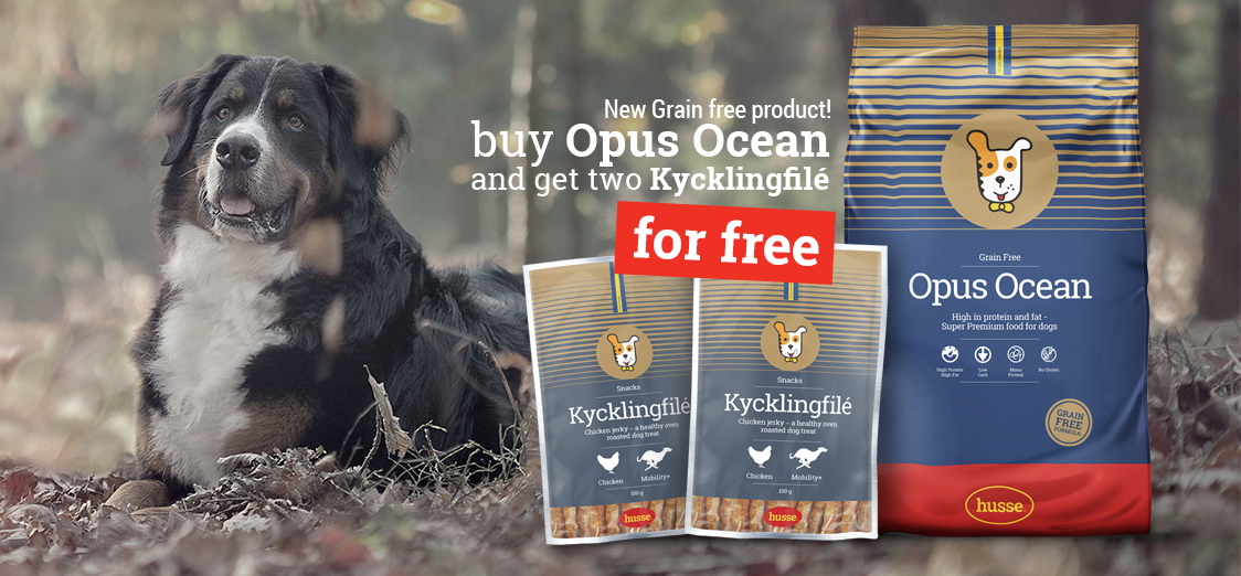 Campaign - Opus Ocean 12kg + 2 x Kycklingfilé 100gr for FREE